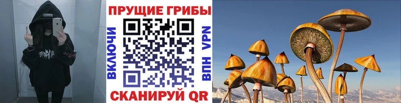 Галлюциногенные грибы Psilocybe kraken рабочий сайт Углегорск даркнет сайт